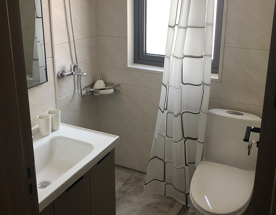 Baños sanitarios modulares prefabricados horizontales del tablero de pared del PEC